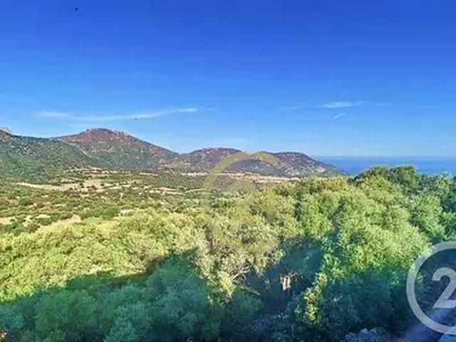 Maison vente à Calvi, Aregno
