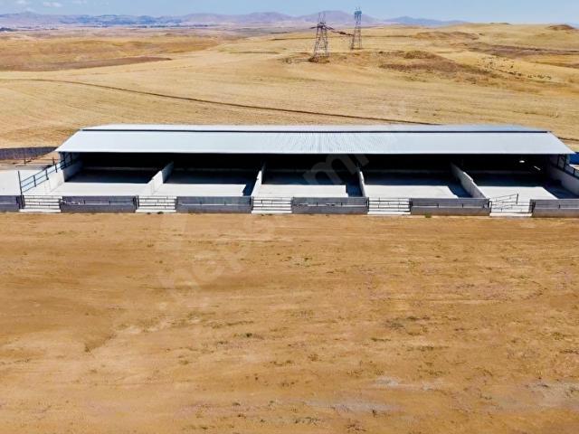 Kırşehir Merkez, Kirşehir içerisinde satılık Fabrika