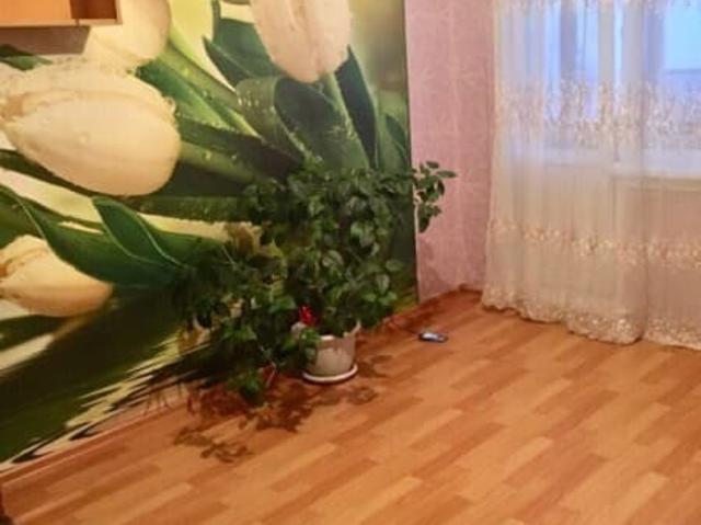 Квартира аренда в Новосибирская область