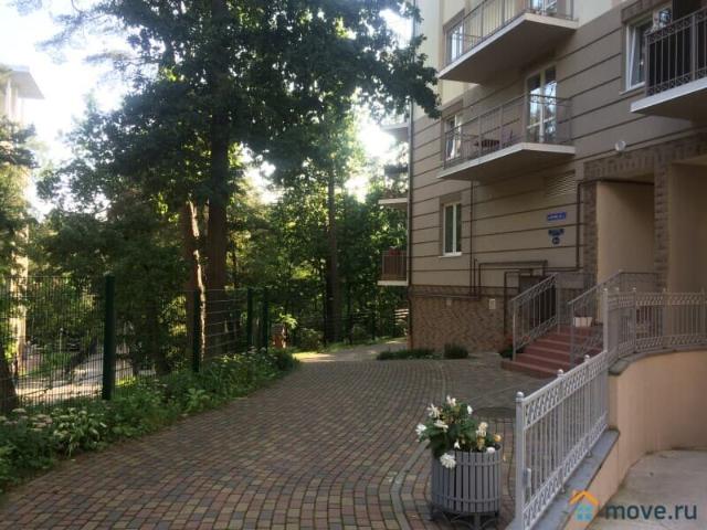 Квартира аренда в Пригородный, Светлогорск
