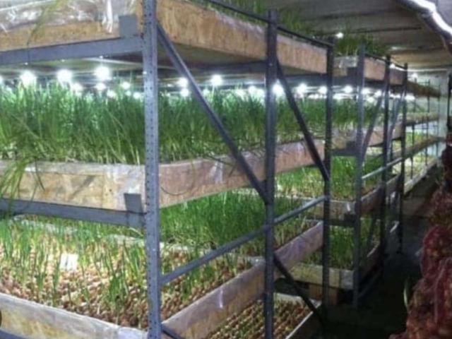 Недвижимость аренда в Мурманск, Мурманская область