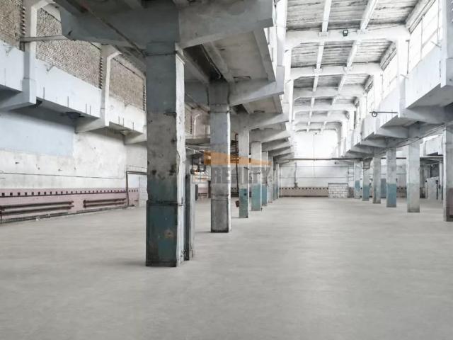 Недвижимость аренда в Лосино-Петровский, городской округ Лосино-Петровский