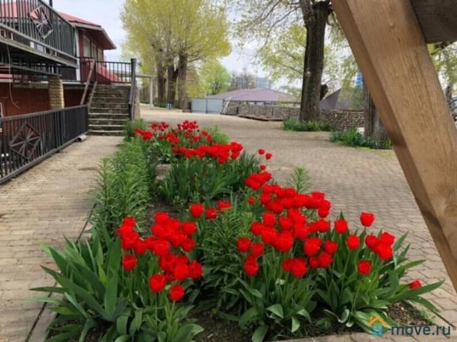 Дом аренда в Березовый, Краснодарский Край