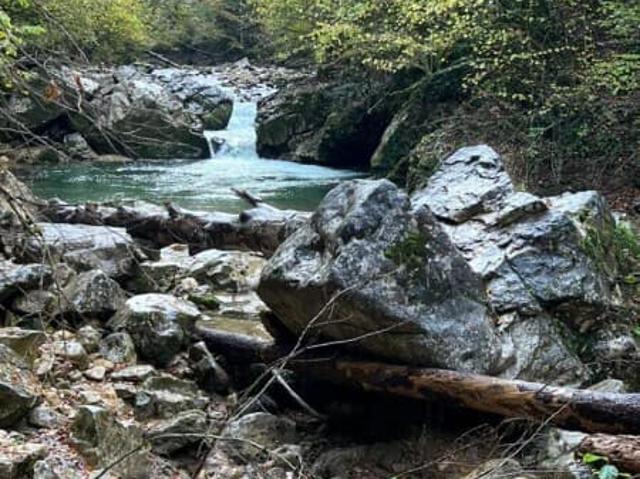 Дом аренда в Краснодарский Край