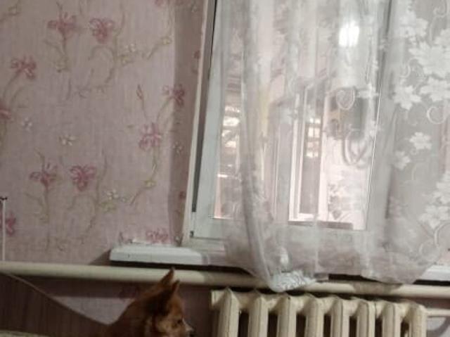 Дом аренда в Симферополь