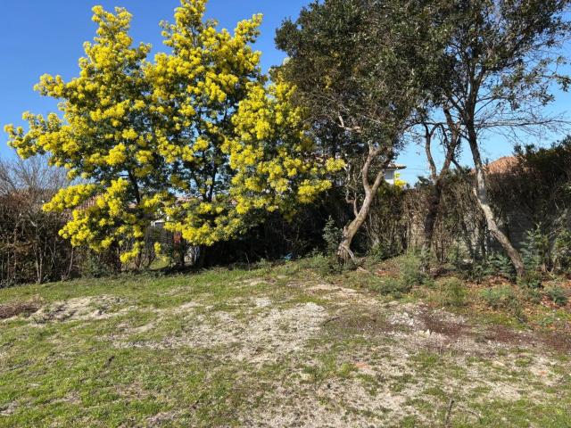 Terrain vente à Arès, Gironde
