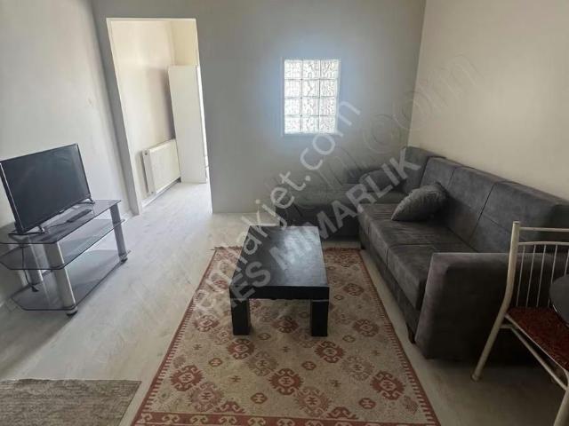 İstanbul içerisinde kiralık mülk