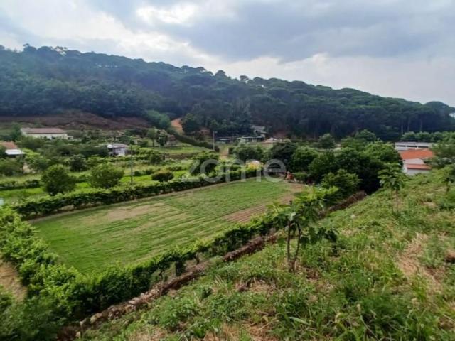 Terreno venda em Arganil