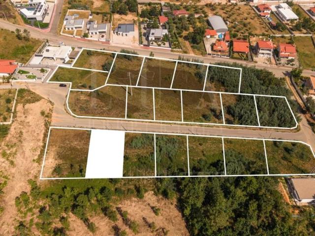 Terreno venda em Arganil