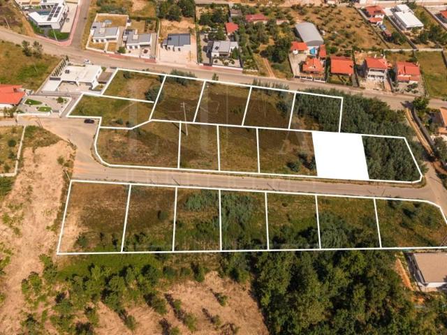 Terreno venda em Arganil