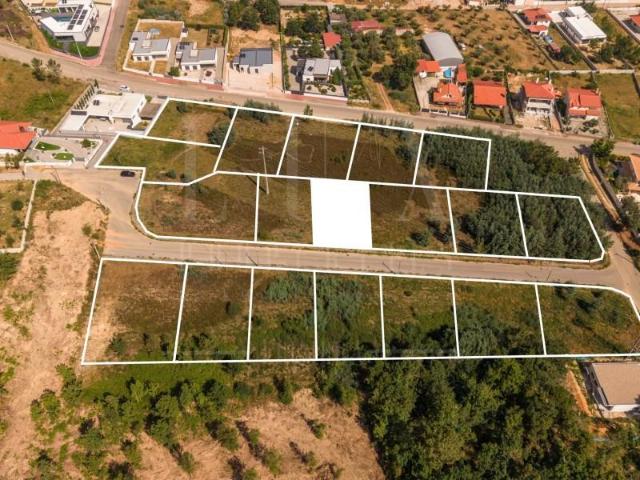 Terreno venda em Arganil