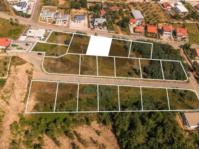 Terreno venda em Arganil