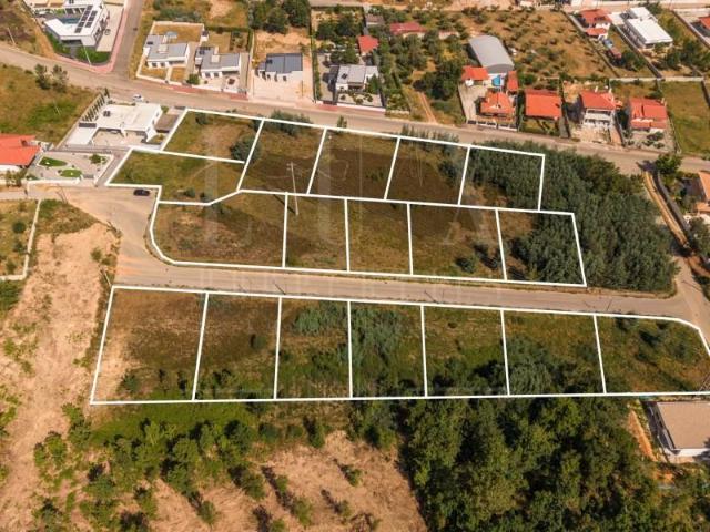 Terreno venda em Arganil