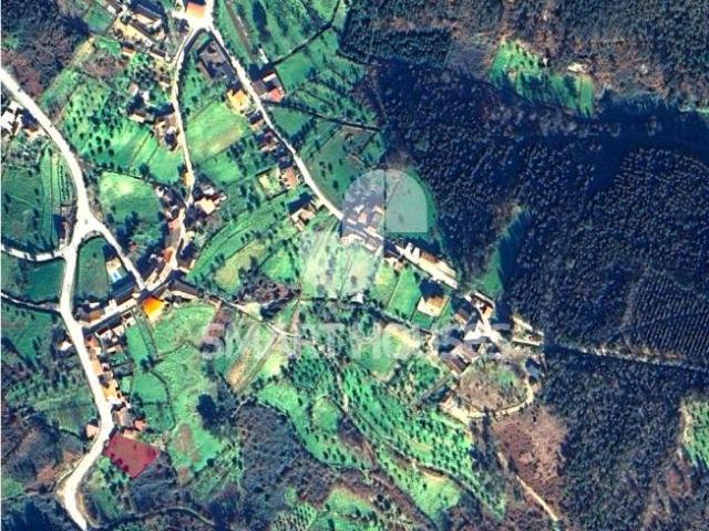 Terreno venda em Arganil