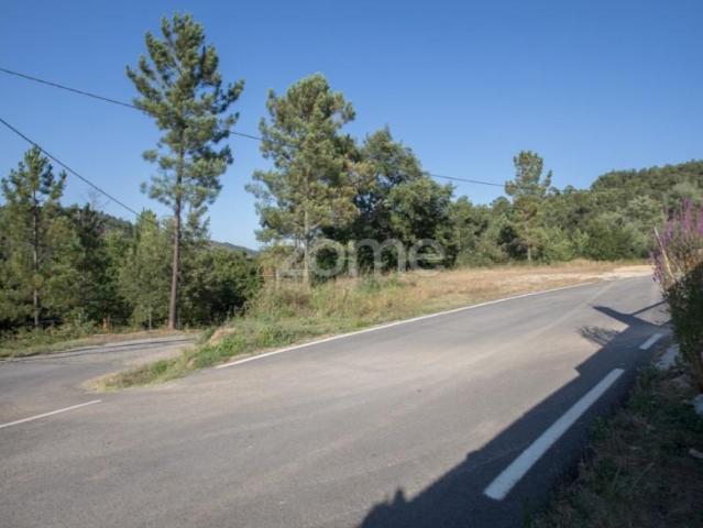 Terreno venda em Arganil