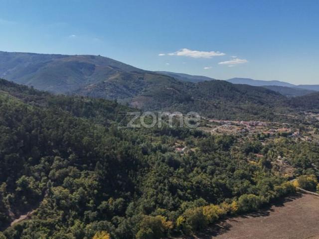 Terreno venda em Arganil