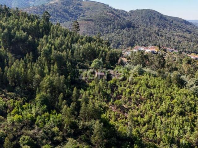 Terreno venda em Arganil