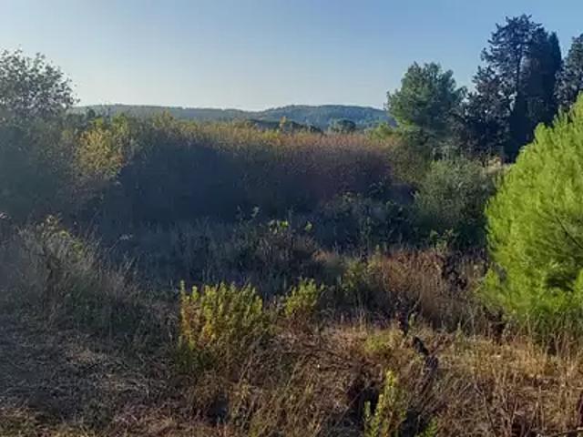 Terrain vente à Argens-Minervois, Aude