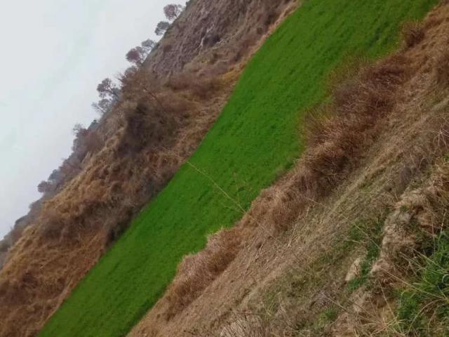 Land for sale in Rawalpindi, Islamabad Capital Territory