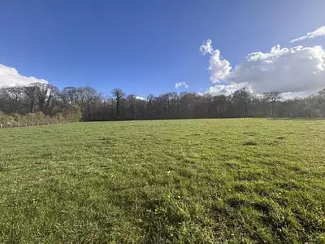 Terrain vente à Argentan