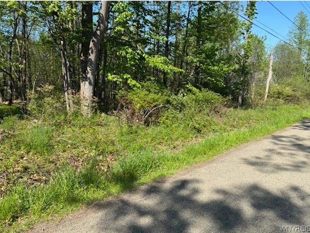 Land for sale in Angola, New York