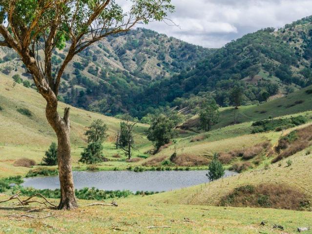 Cottage for sale in New South Wales