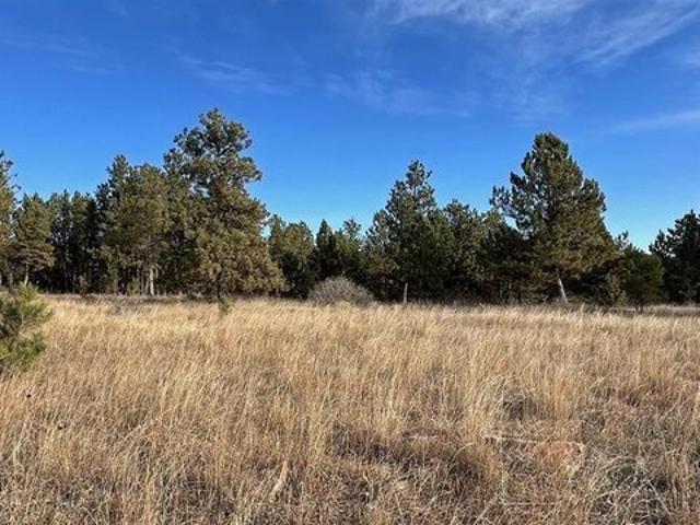 Land for sale in Hot Springs, Fall River County
