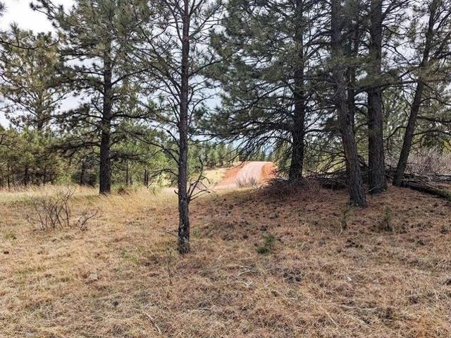Land for sale in Hot Springs, Fall River County