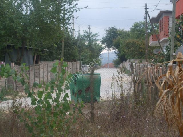 Arifiye, Sakarya içerisinde kiralık mülk