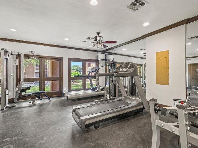 Apartment for rent in Hays, Texas