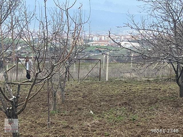 Çorum Merkez, Çorum içerisinde satılık mülk