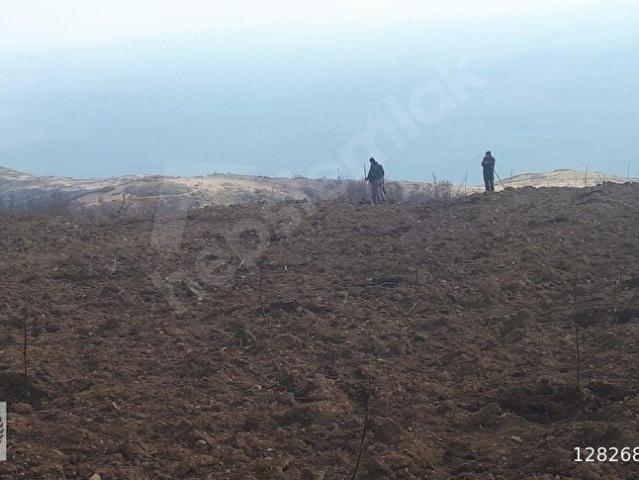 Gaziköy Mahallesi, Şarköy içerisinde satılık Arsa