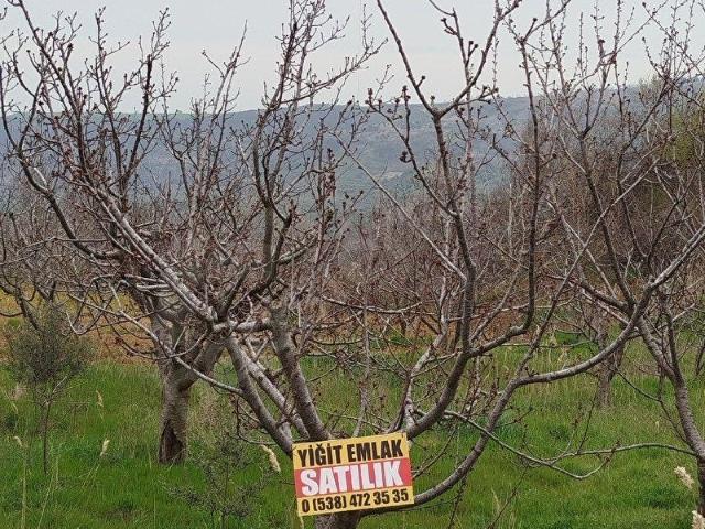 Hoşköy Mahallesi, Şarköy içerisinde satılık Arsa