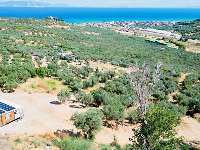 Hoşköy Mahallesi, Şarköy içerisinde satılık mülk