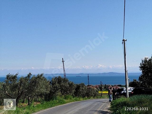 İğdebağları, Şarköy içerisinde satılık mülk