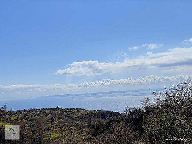 Şarköy, Tekirdağ içerisinde satılık Arsa