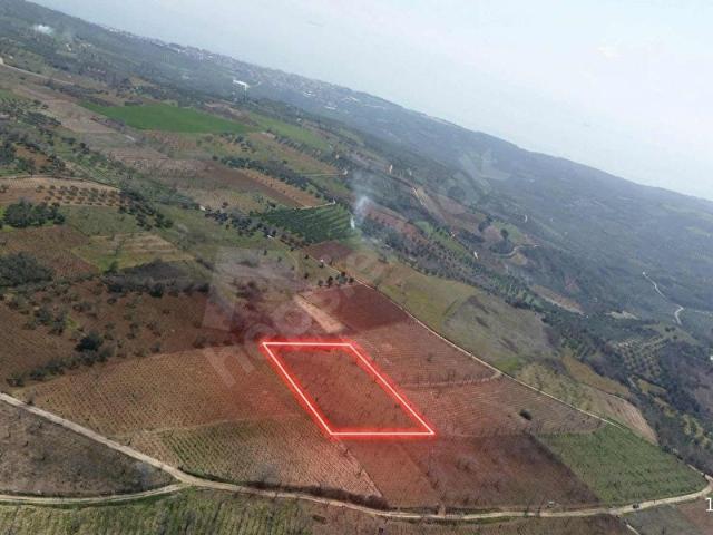 Parukluburun Çeşmesi, Şarköy içerisinde satılık mülk