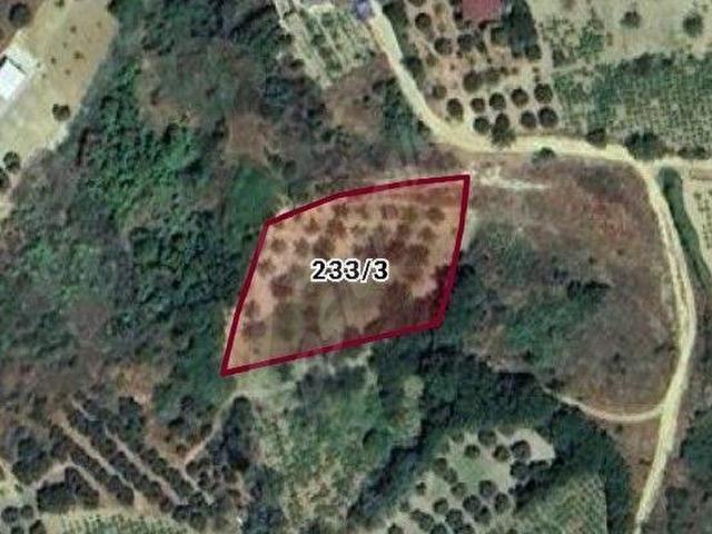Kirazlı, Şarköy içerisinde satılık Arsa