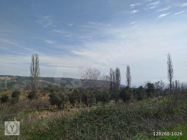 Şarköy, Tekirdağ içerisinde satılık Arsa