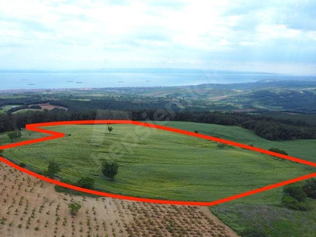 Şarköy, Tekirdağ içerisinde satılık Arsa