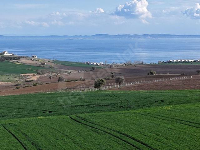 Şenköy, Şarköy içerisinde satılık Arsa
