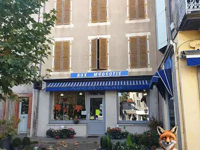 Maison vente à Ambert, Arlanc
