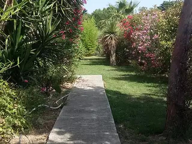 Appartement vente à Arles