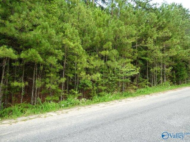 Land for sale in Arley, Alabama