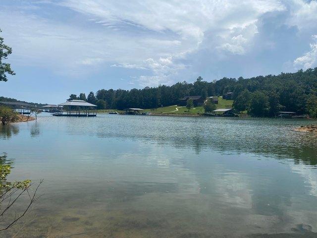 Land for sale in Arley, Alabama