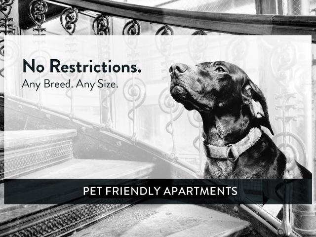 Apartment for rent in North End, Ramsey
