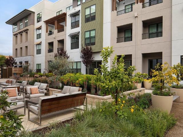 Apartment for rent in Mountain View, California