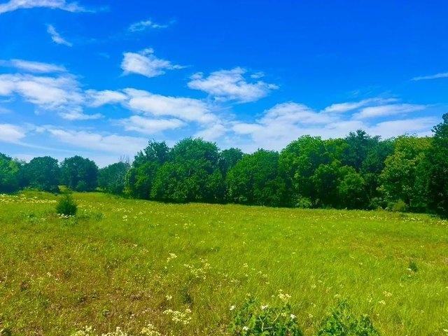 Land for sale in Parker, Texas