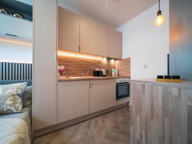 Studio for rent in Pennycomequick, Mount Wise