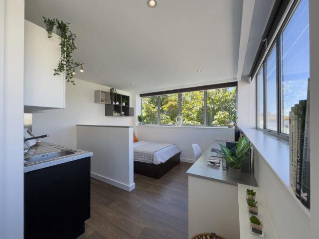 Studio for rent in Pennycomequick, Mount Wise